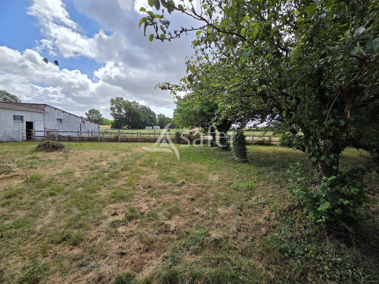 Propiedad ecuestre En venta Vend&eacute;e