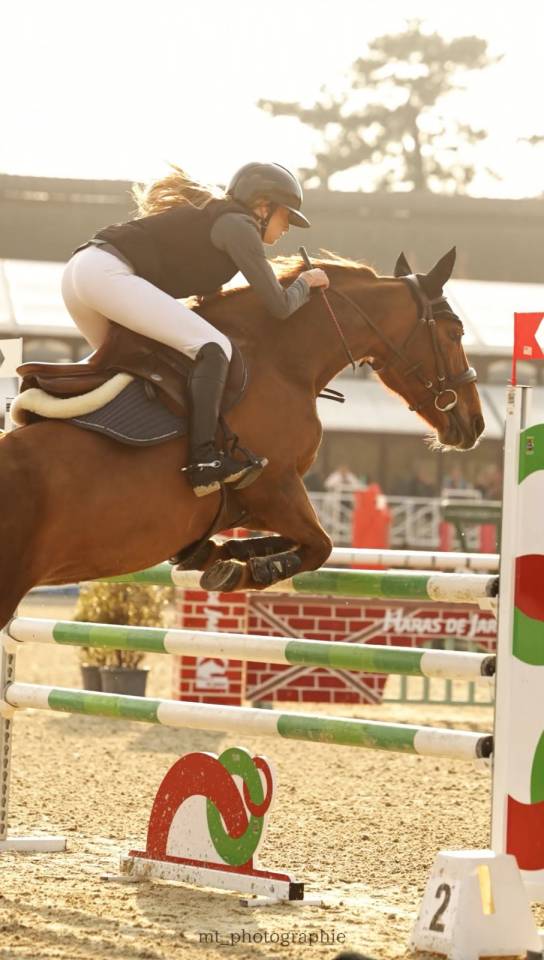 Yegua Origine Constat&eacute;e Pr&eacute;stamo 2011 Alaz&aacute;n tostado por BAYARD D ELLE