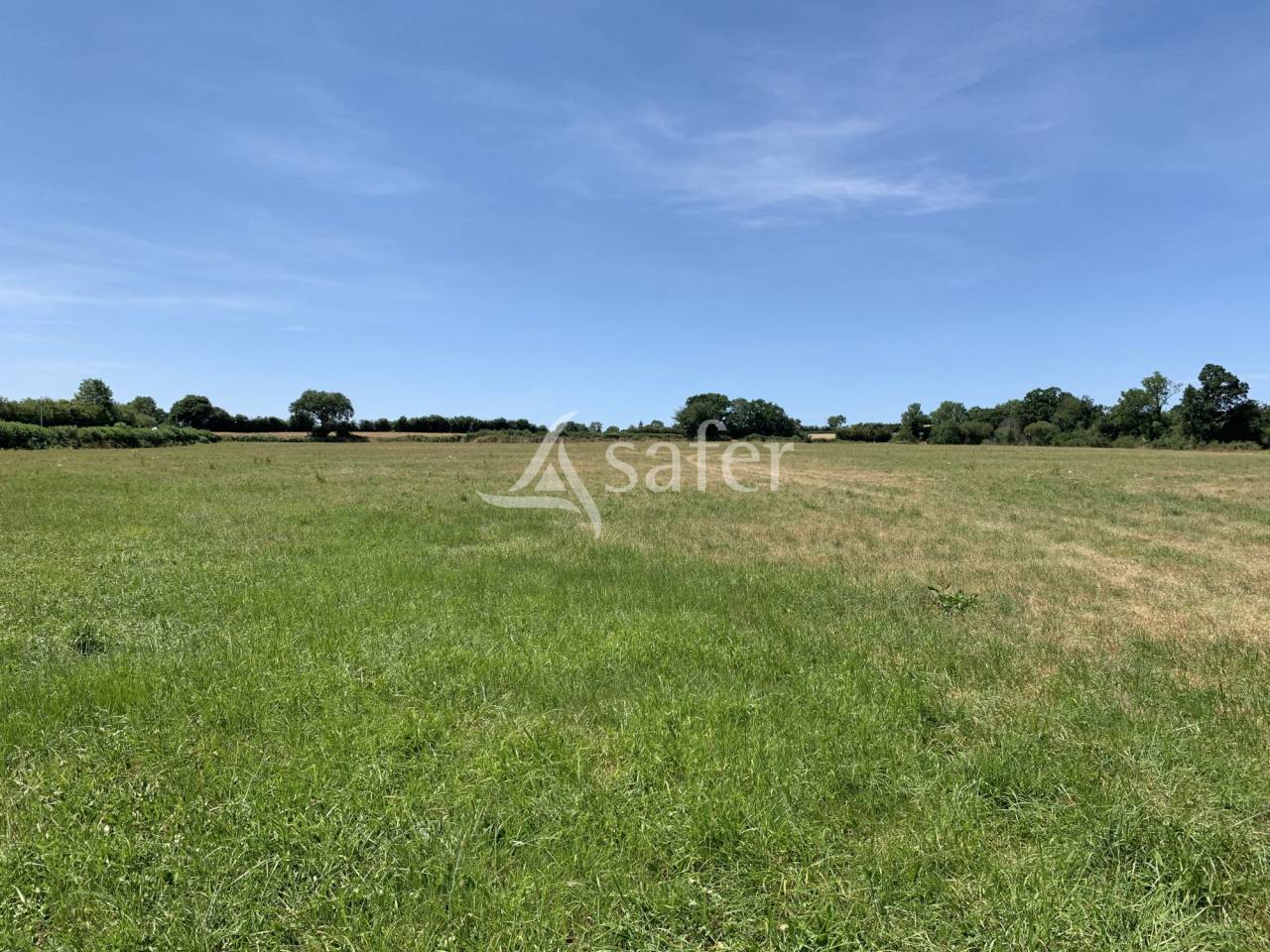 Explotaci&oacute;n agr&iacute;cola En venta Orne