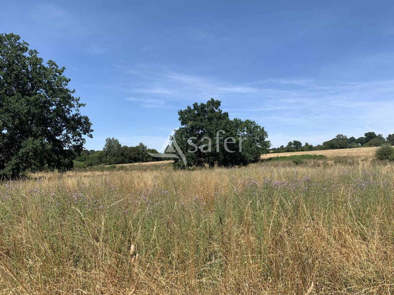 Explotaci&oacute;n agr&iacute;cola En venta Orne