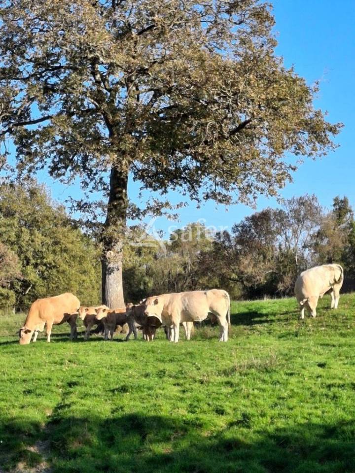 Propiedad rural En venta Loira Atl&aacute;ntico
