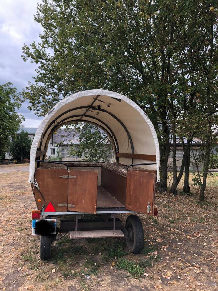 Coche enganches - Calesa   