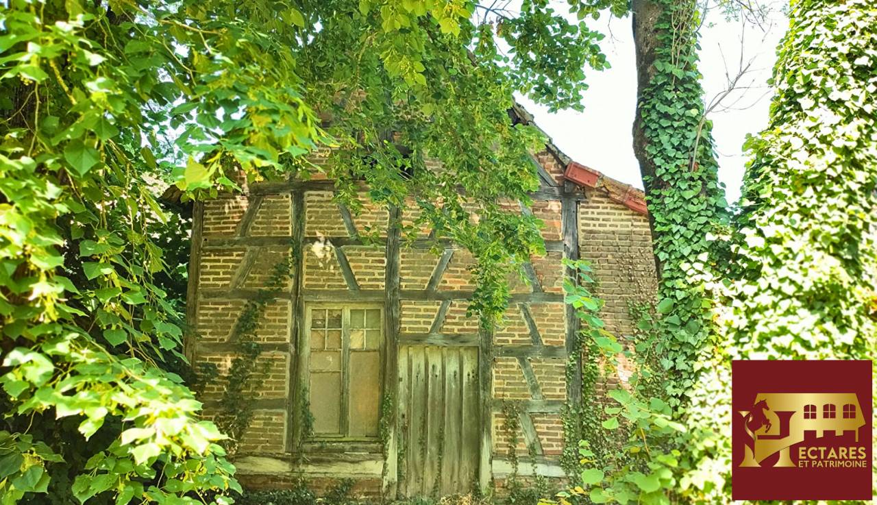 Albergue ecuestre En venta Saona y Loira