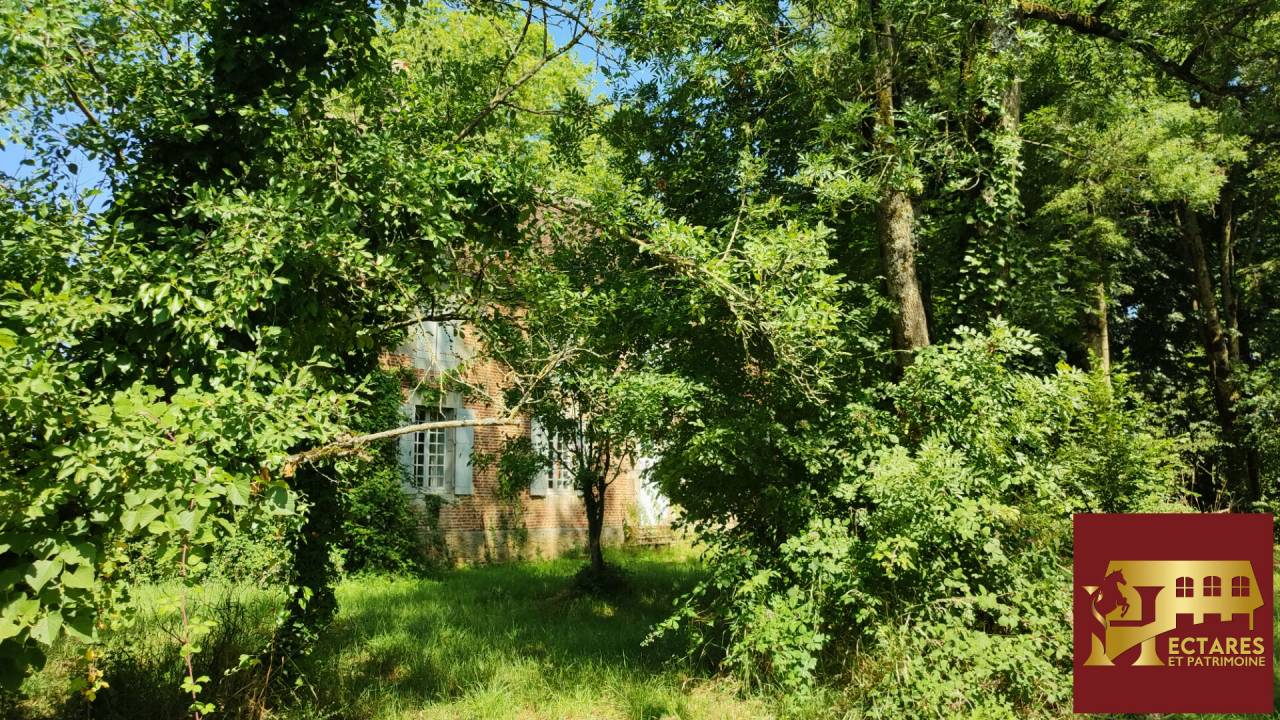 Albergue ecuestre En venta Saona y Loira