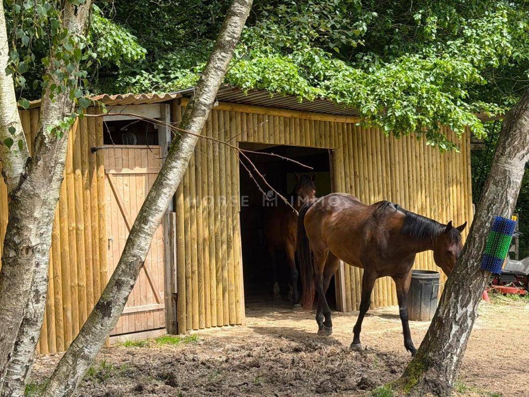 Propiedad ecuestre En venta Sena y Marne