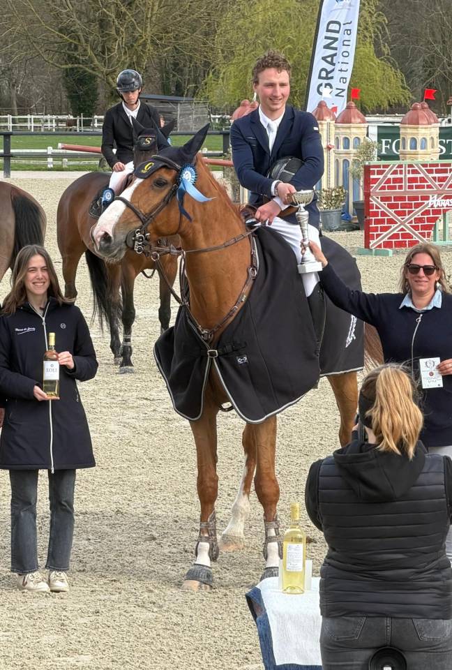 Yegua Silla Franc&eacute;s En venta 2019 Alaz&aacute;n tostado por NERVOSO SF