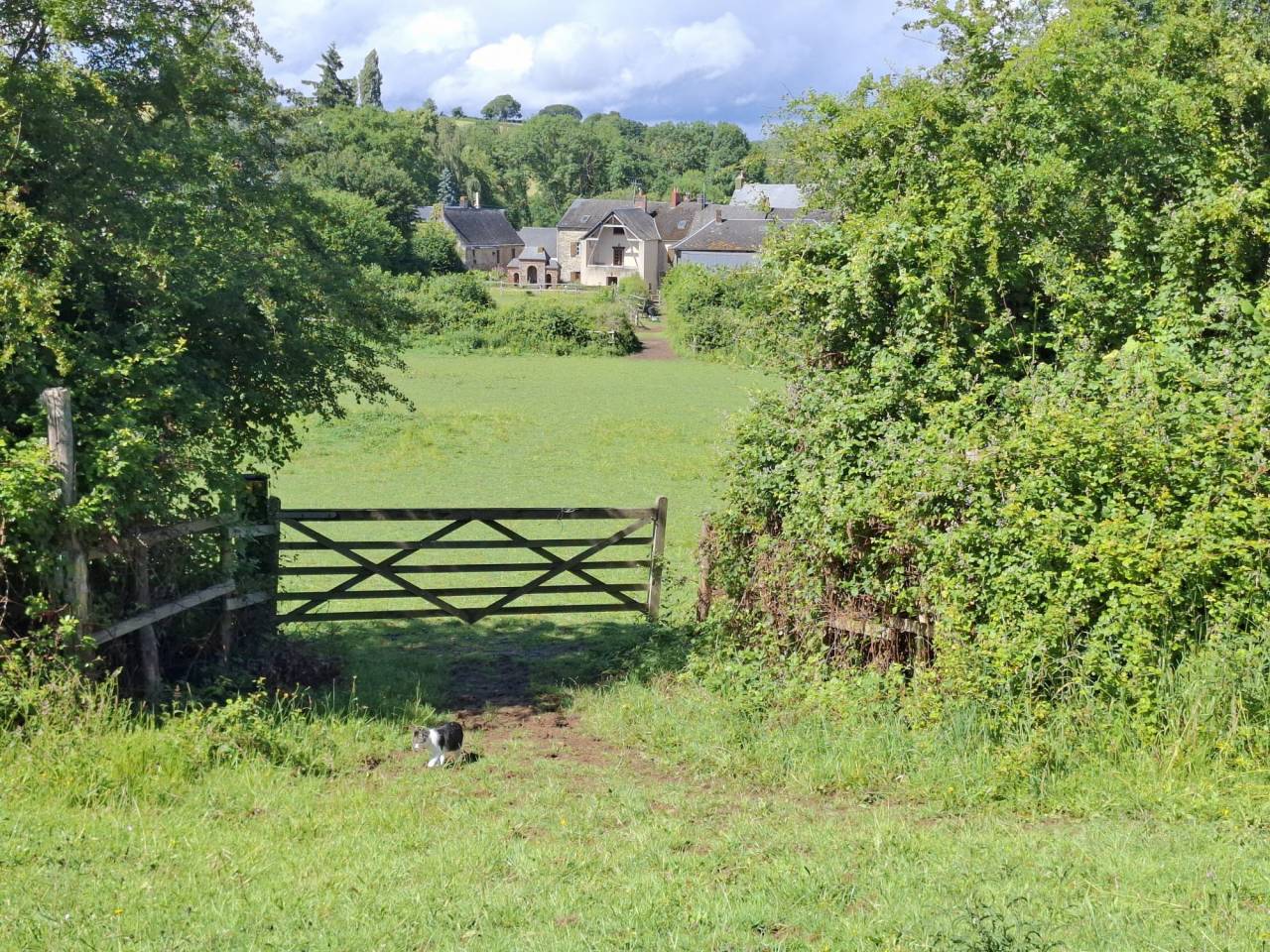 Cuadra de propietarios En venta Mayenne