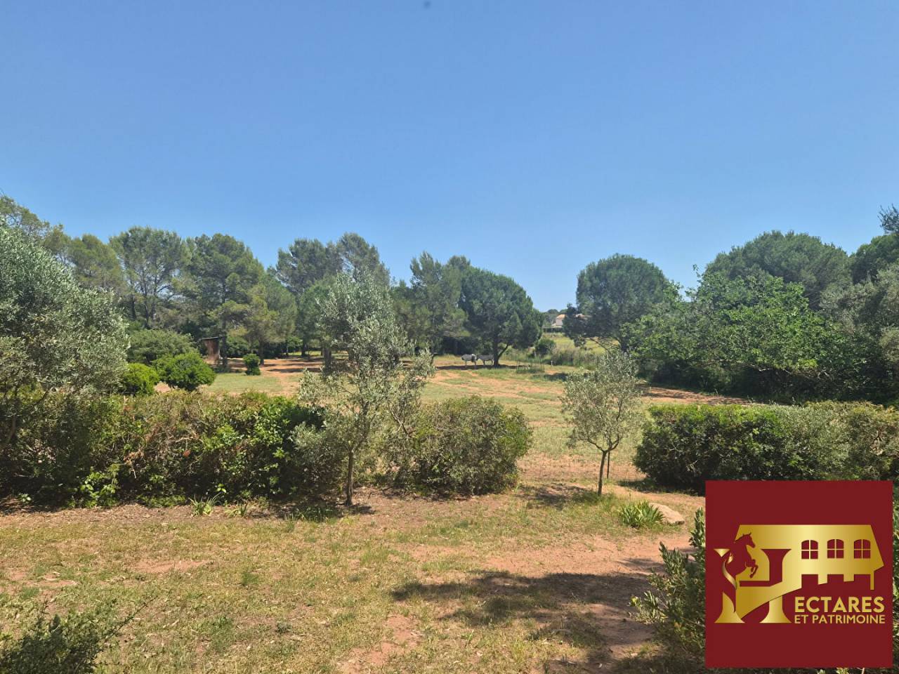 Propiedad ecuestre En venta Var