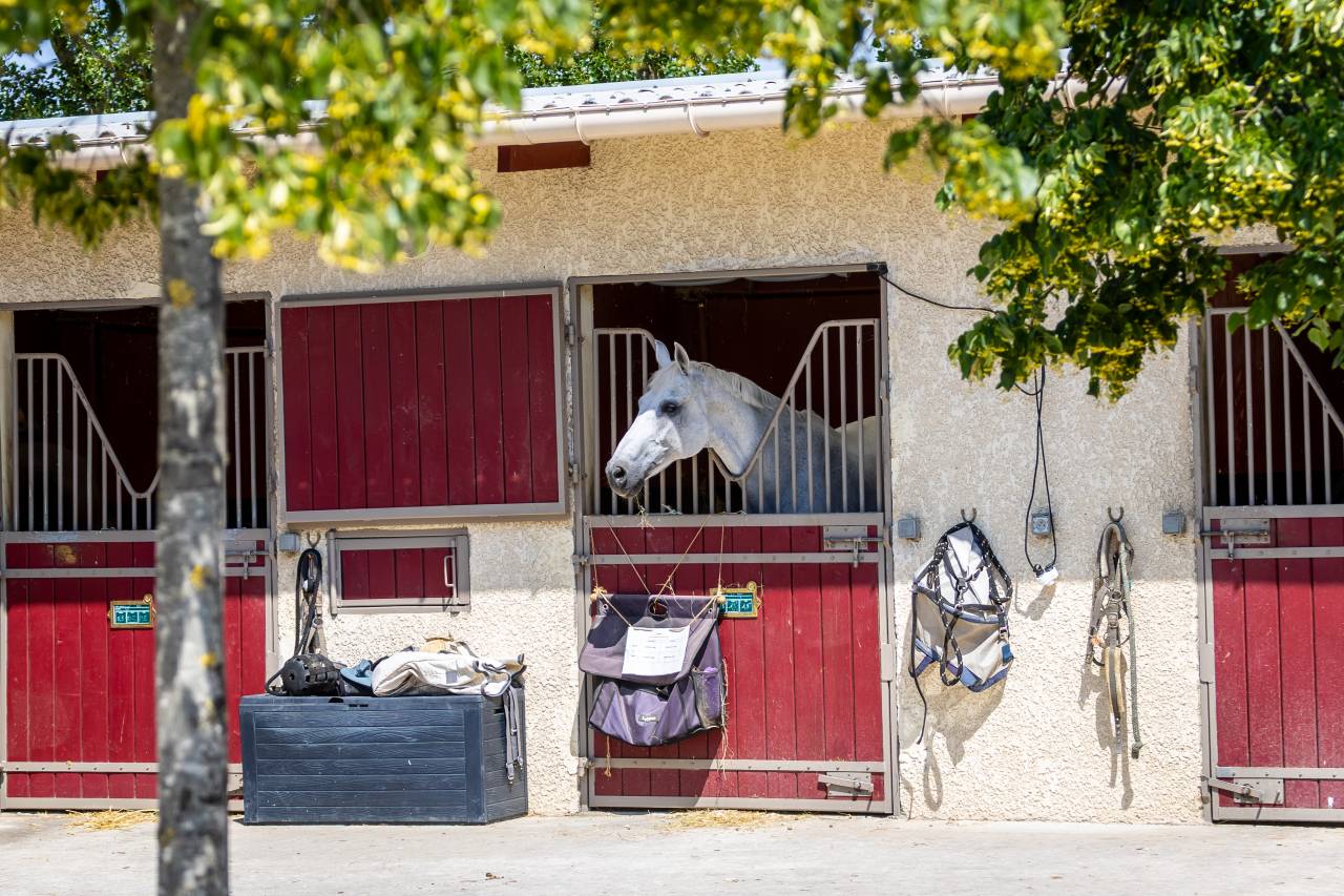 Acaballadero En venta Par&iacute;s