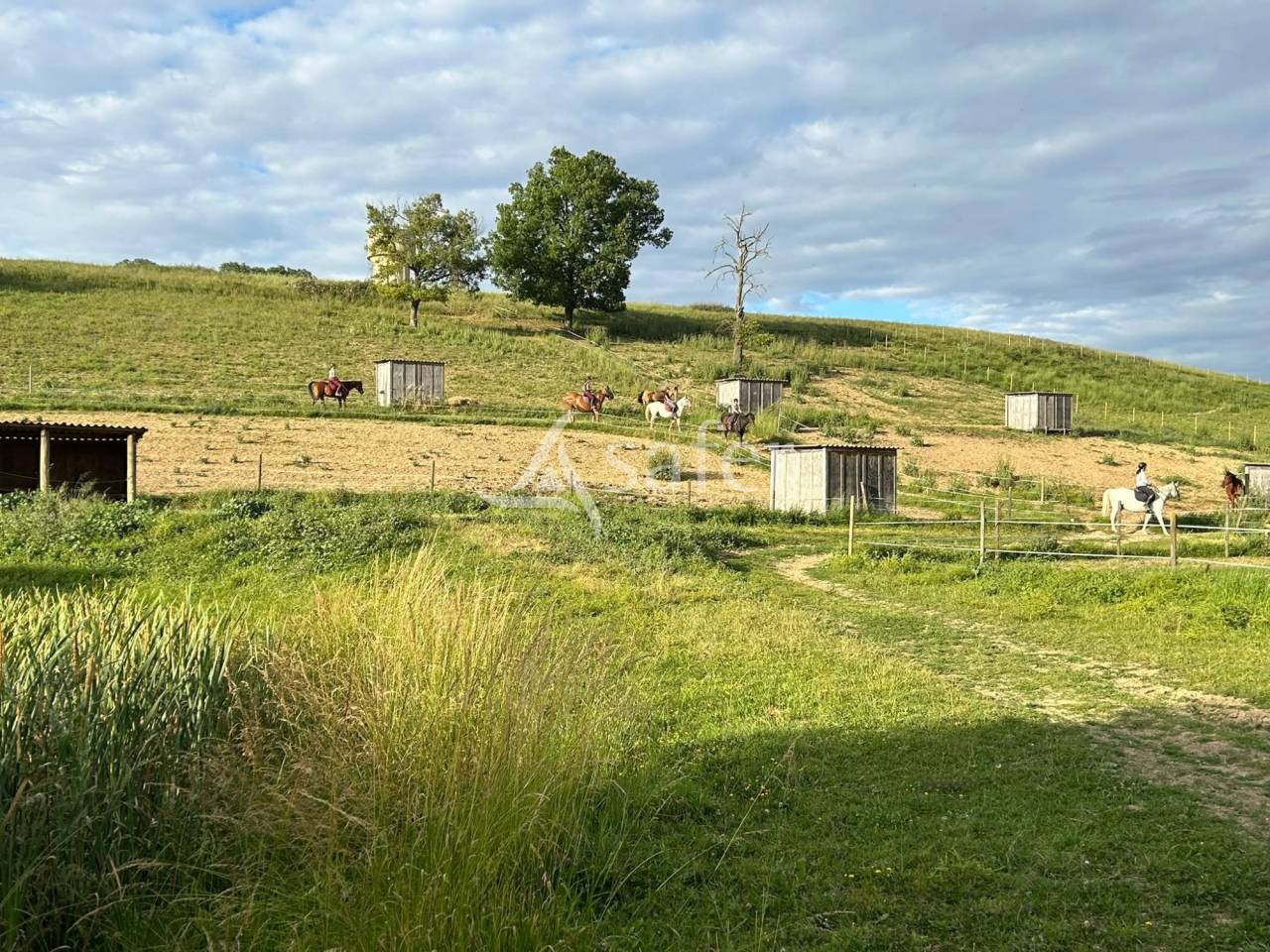Propiedad ecuestre En venta Tarn