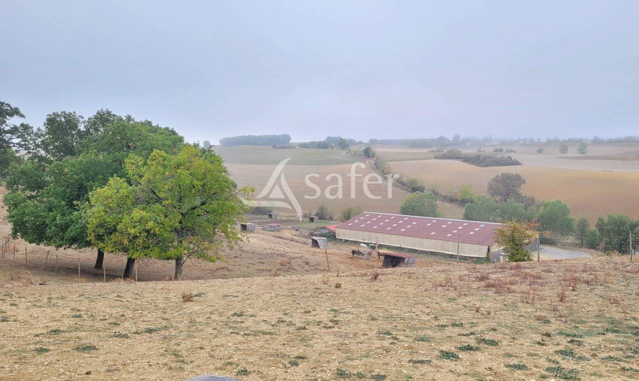 Propiedad ecuestre En venta Tarn