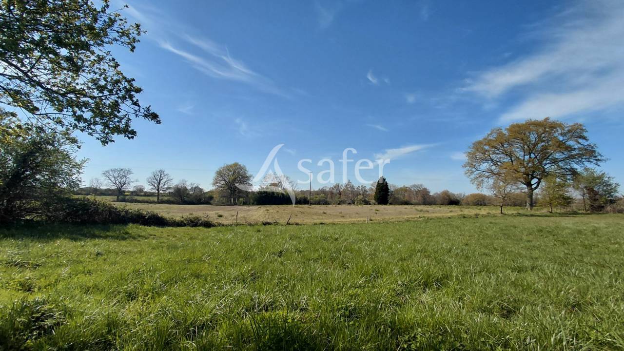 Explotaci&oacute;n agr&iacute;cola En venta Vienne