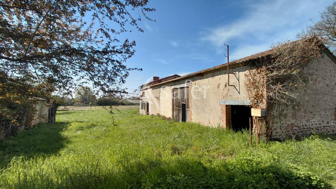 Explotaci&oacute;n agr&iacute;cola En venta Vienne