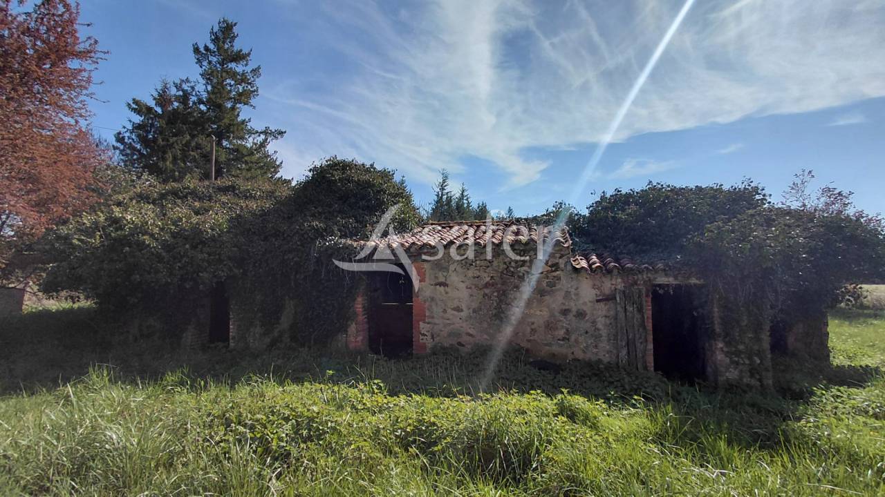 Explotaci&oacute;n agr&iacute;cola En venta Vienne