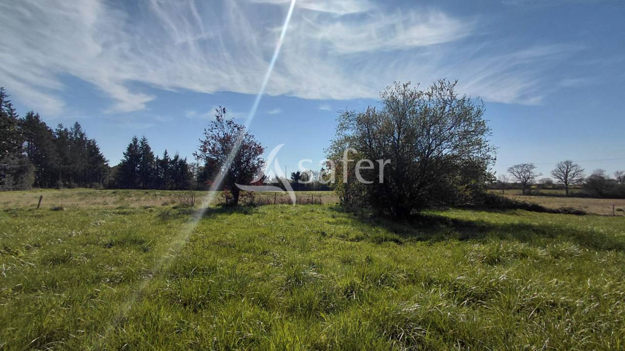 Explotaci&oacute;n agr&iacute;cola En venta Vienne