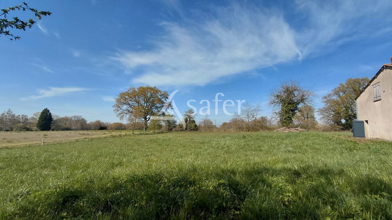 Explotaci&oacute;n agr&iacute;cola En venta Vienne