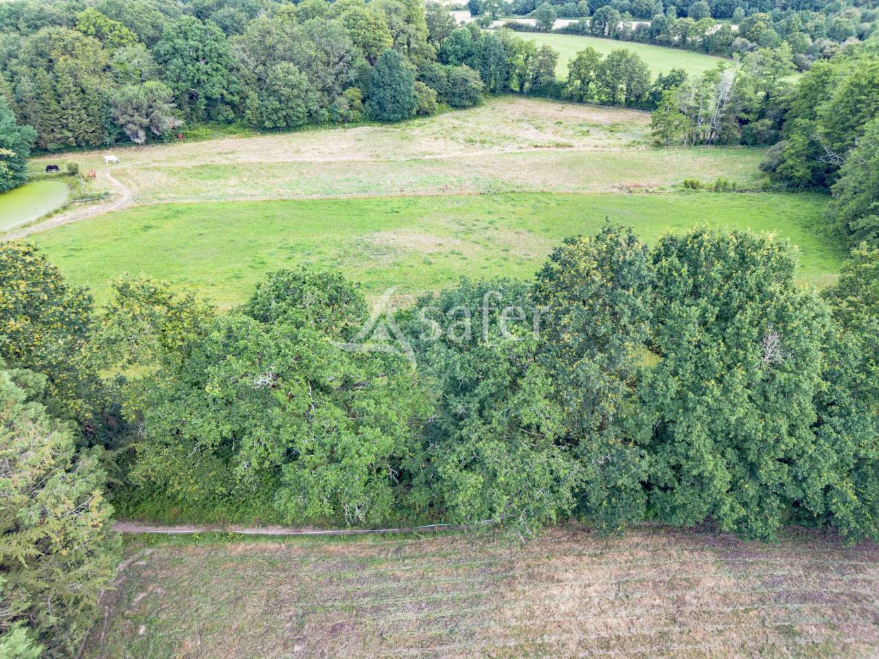 Propiedad rural En venta Vend&eacute;e
