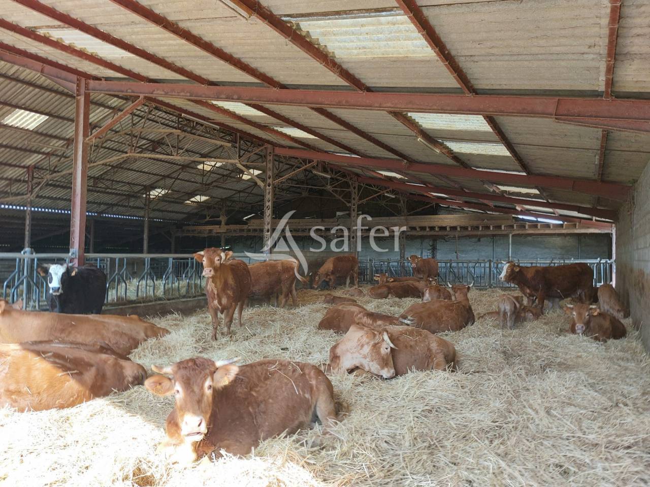 Explotaci&oacute;n ovina En venta Dordo&ntilde;a