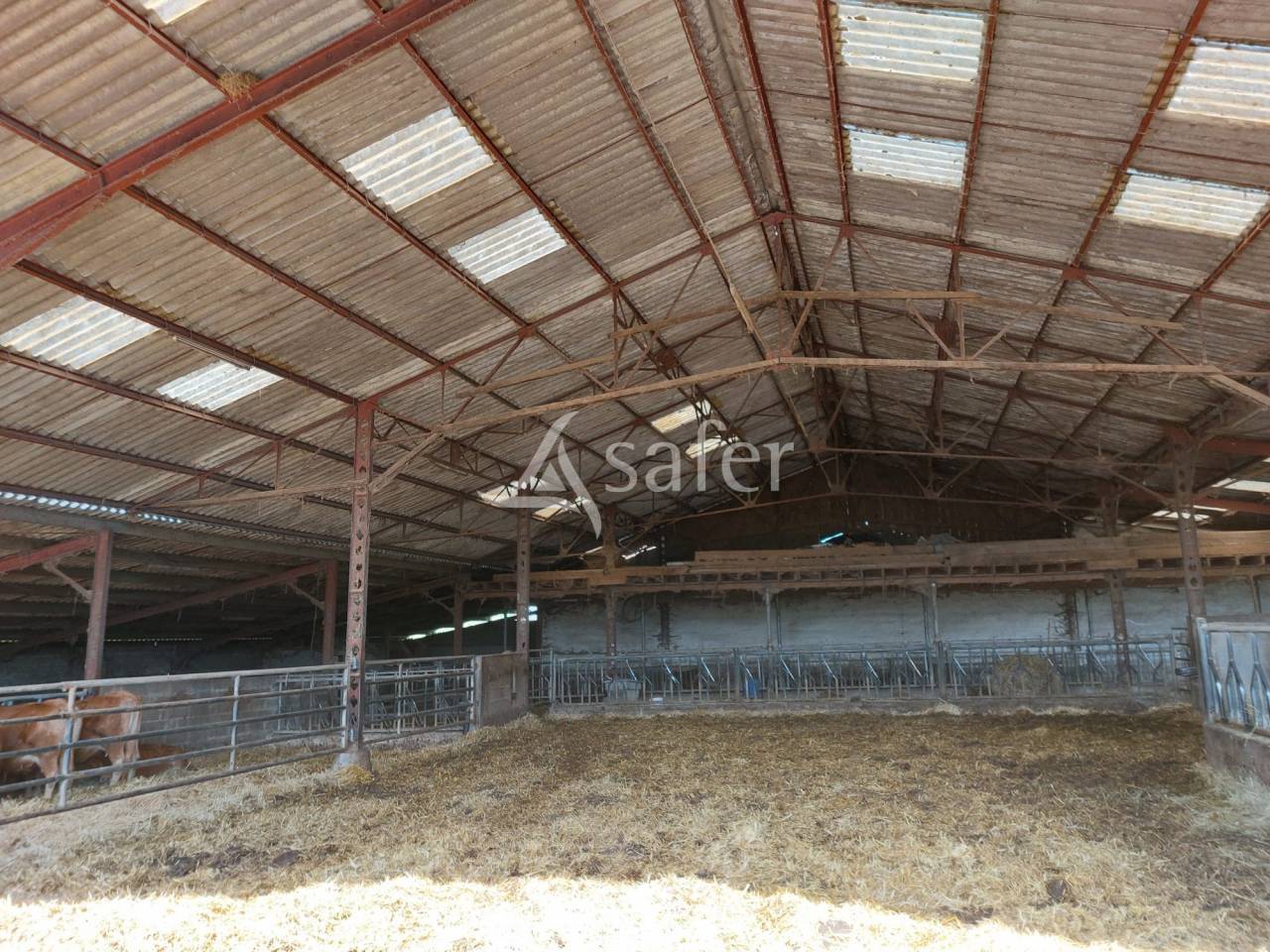 Explotaci&oacute;n ovina En venta Dordo&ntilde;a
