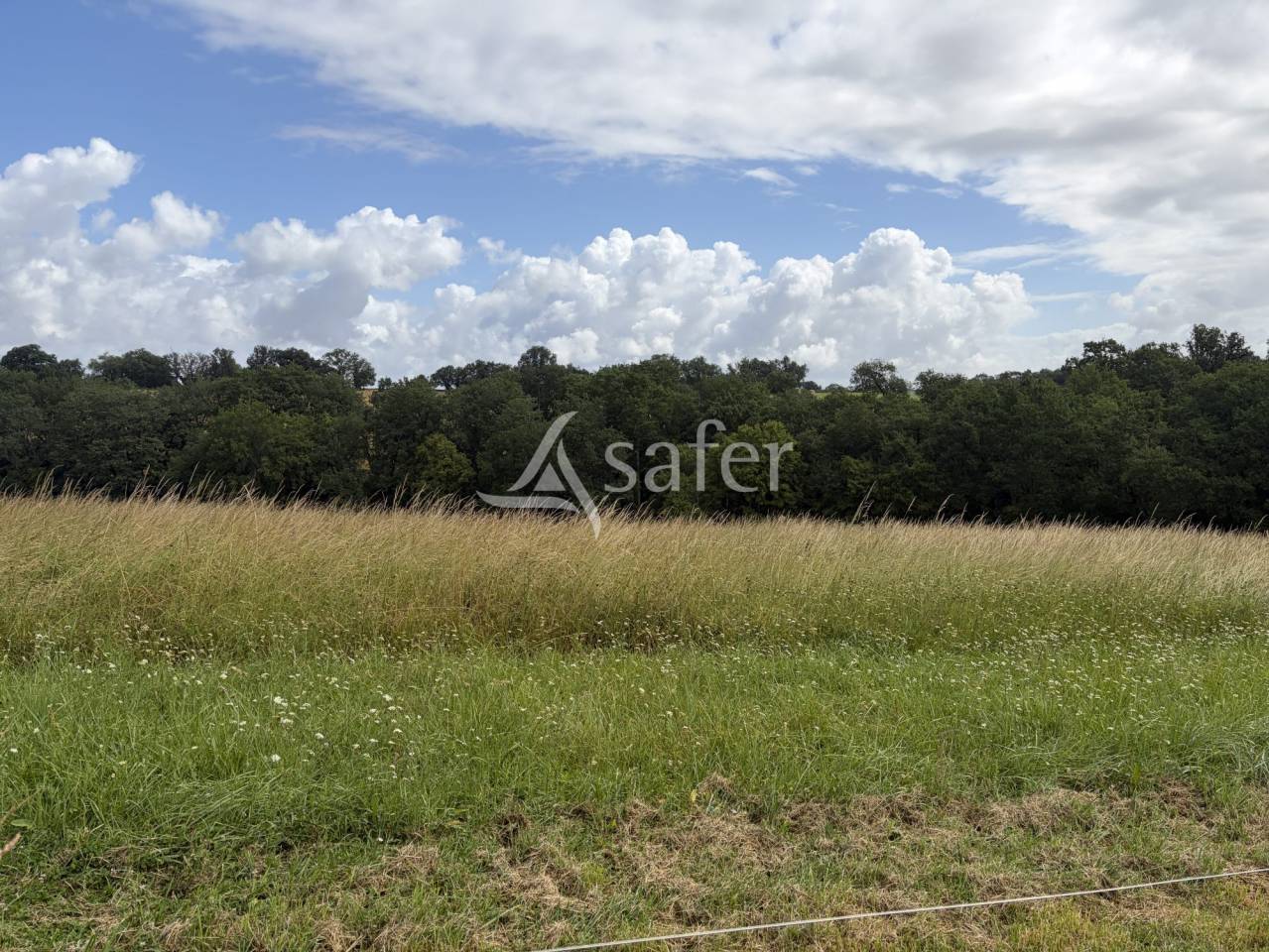 Explotaci&oacute;n agr&iacute;cola En venta Lot y Garona