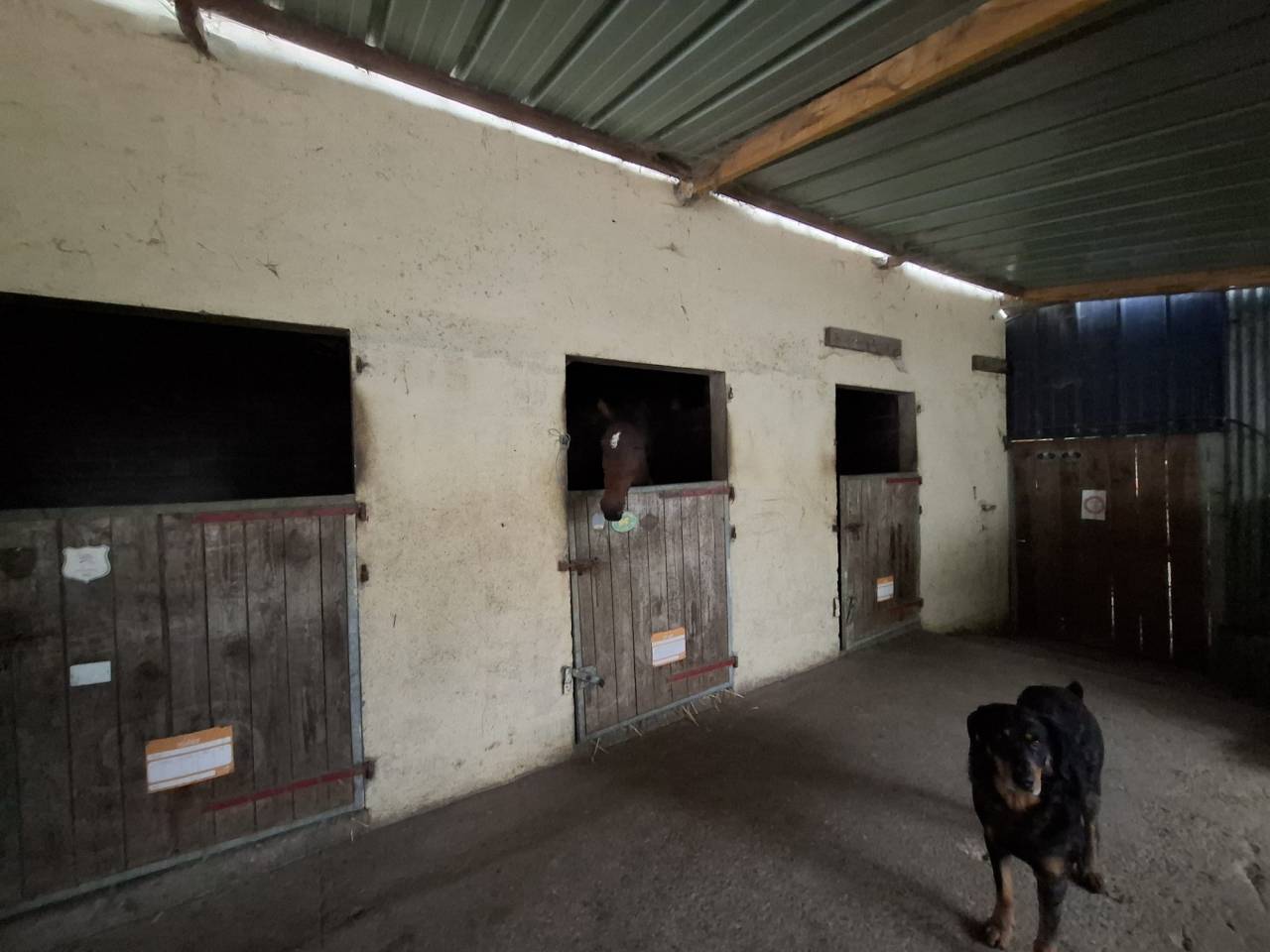 Cuadra de propietarios En venta Sarthe