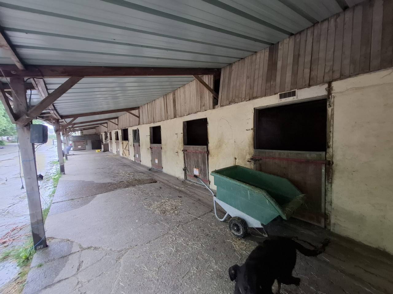 Cuadra de propietarios En venta Sarthe