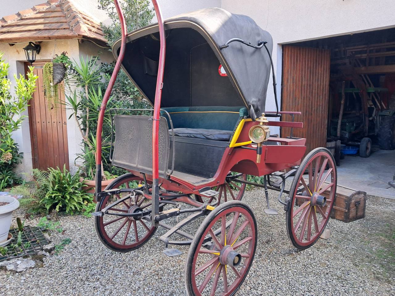 Caballo castrado Otra raza de Caballos En venta 2009 Tordo