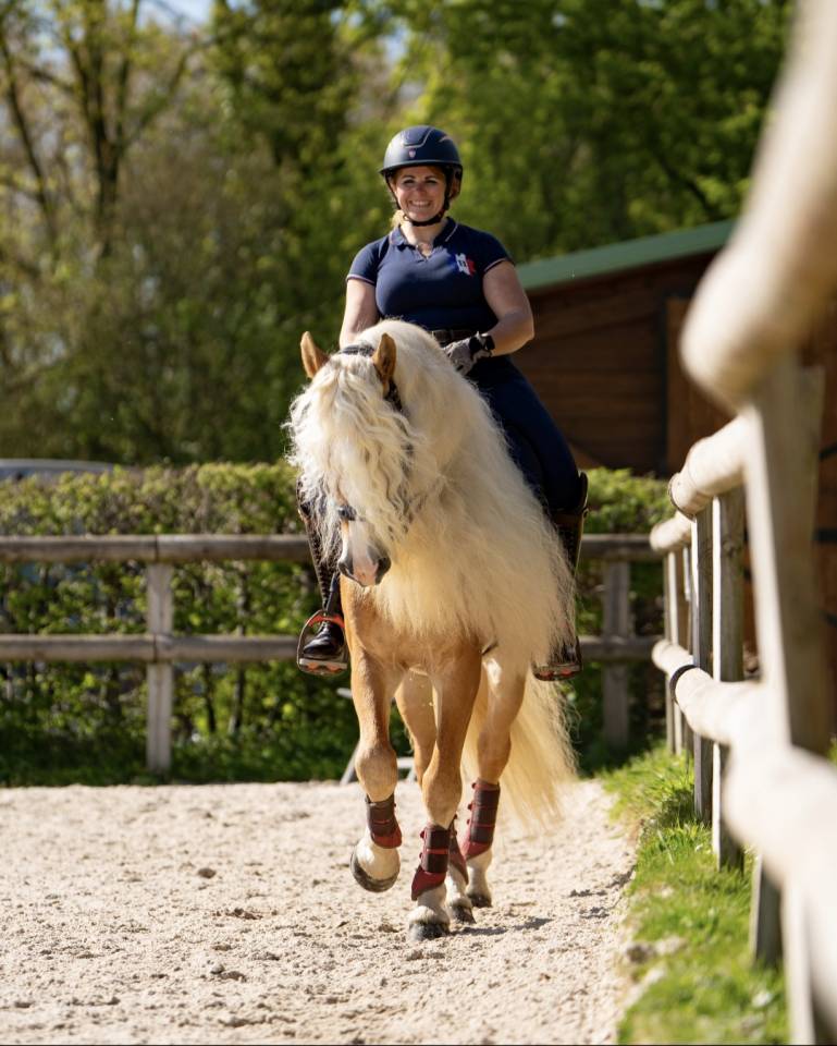 Santa cruz  - Haflinger 2018 por SULTAN