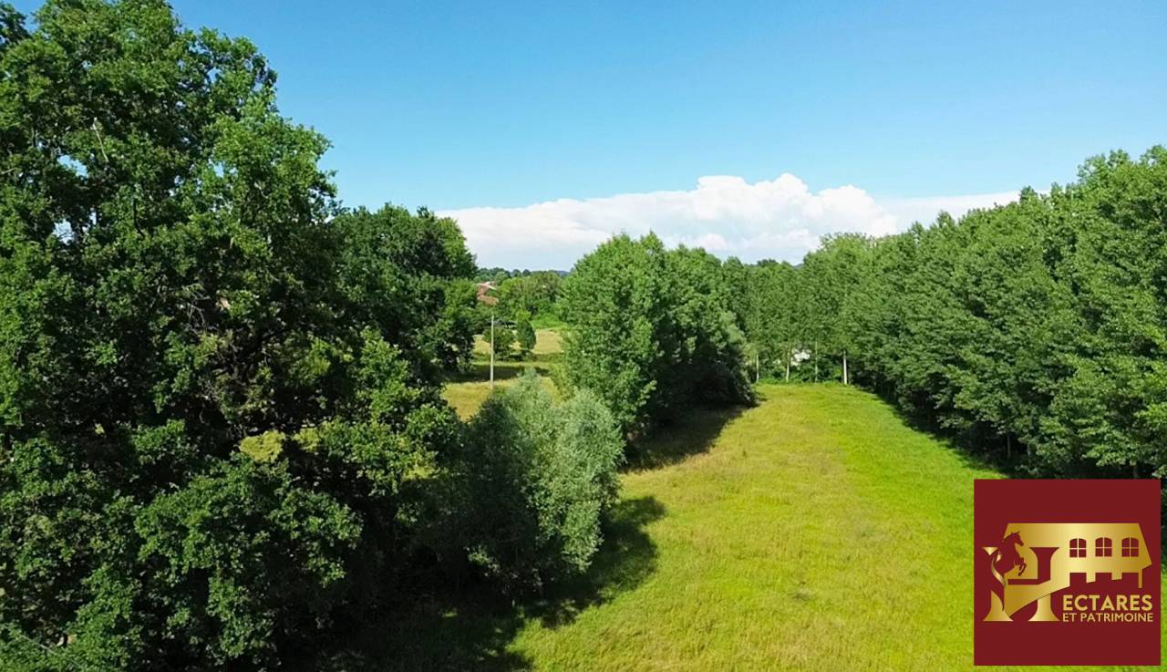 Albergue ecuestre En venta Ain