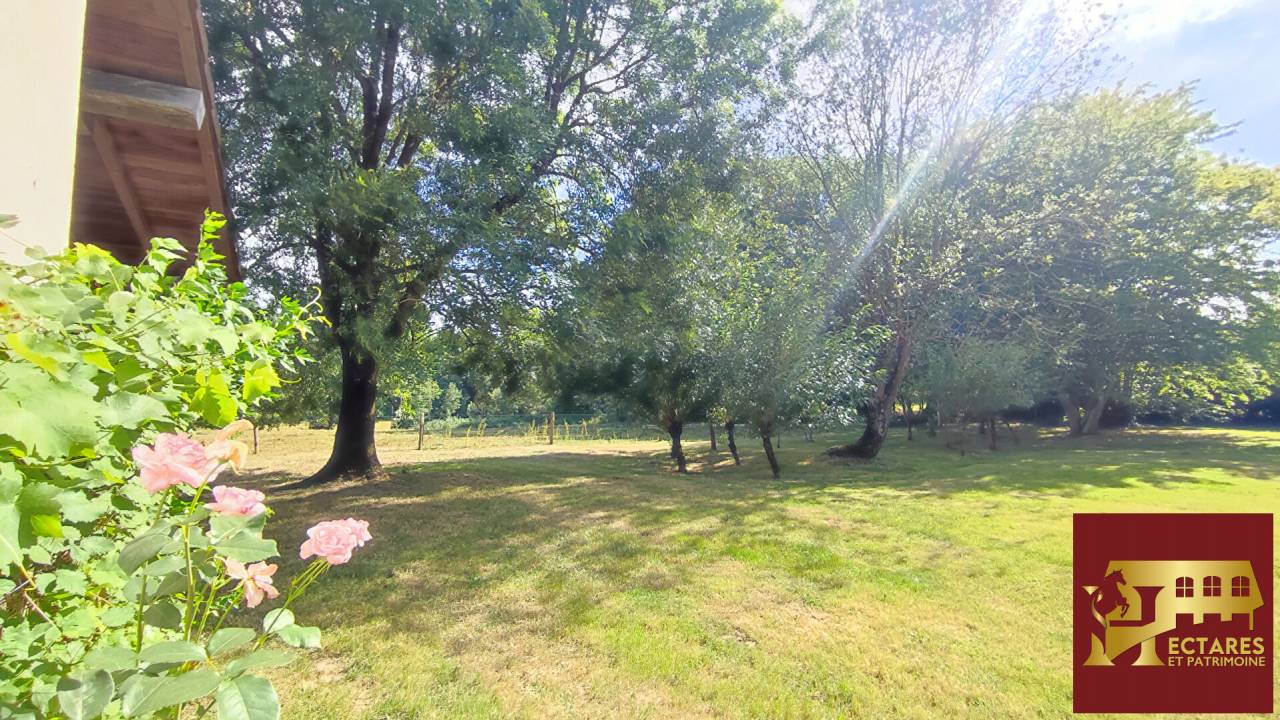Albergue ecuestre En venta Ain