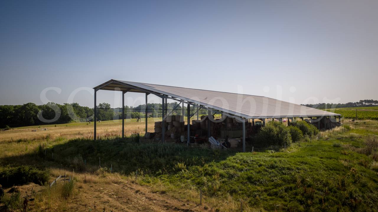Explotaci&oacute;n agr&iacute;cola En venta Gironda