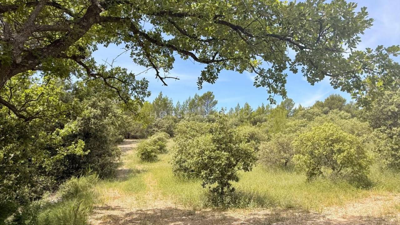 Propiedad ecuestre En venta Vaucluse
