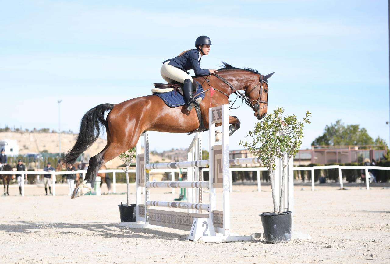 Caballo de salto