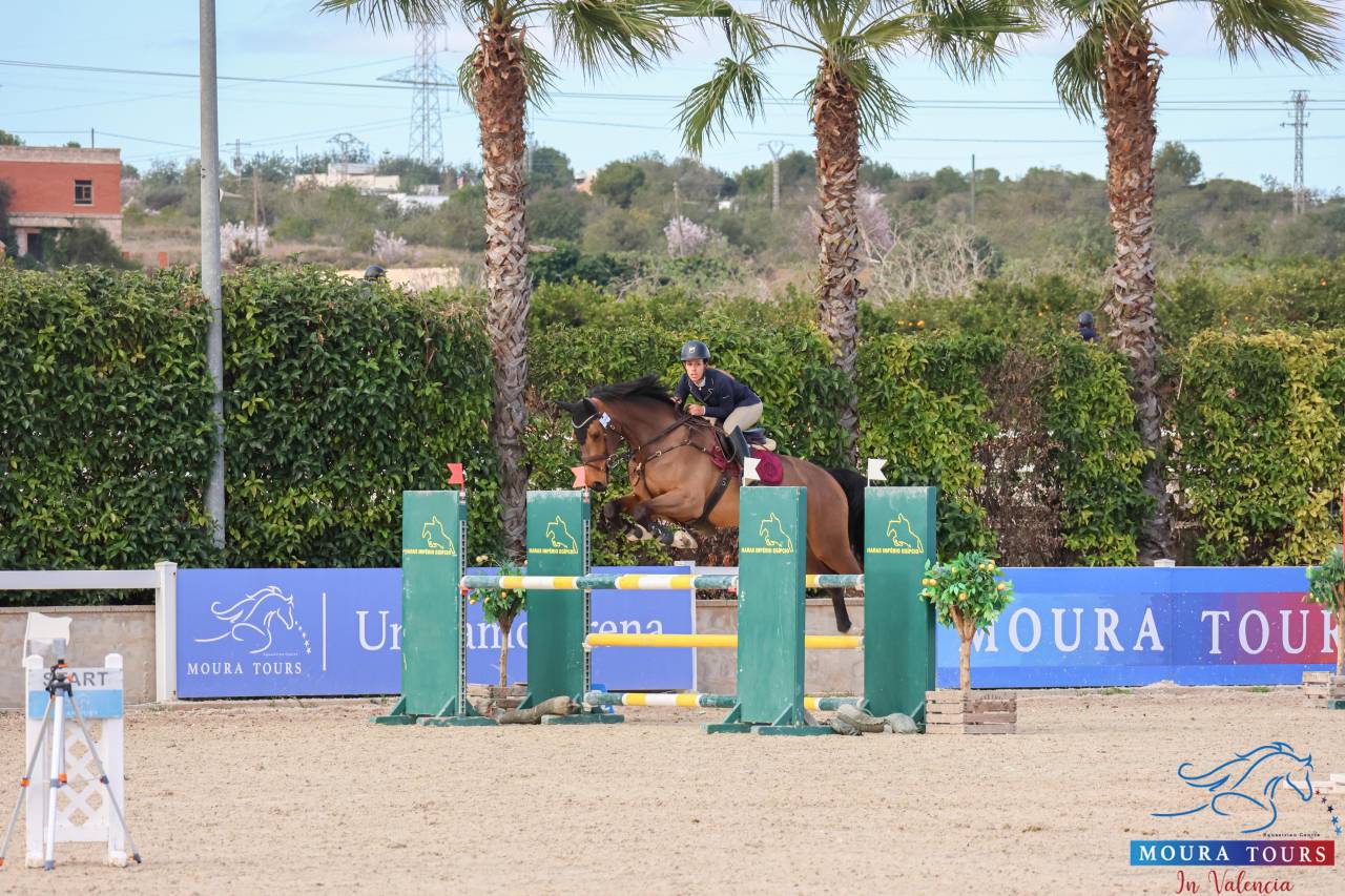 Caballo de salto