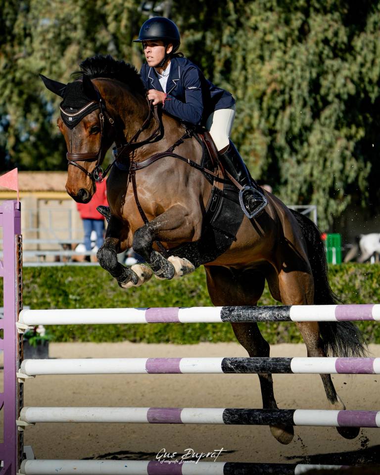 Caballo de salto