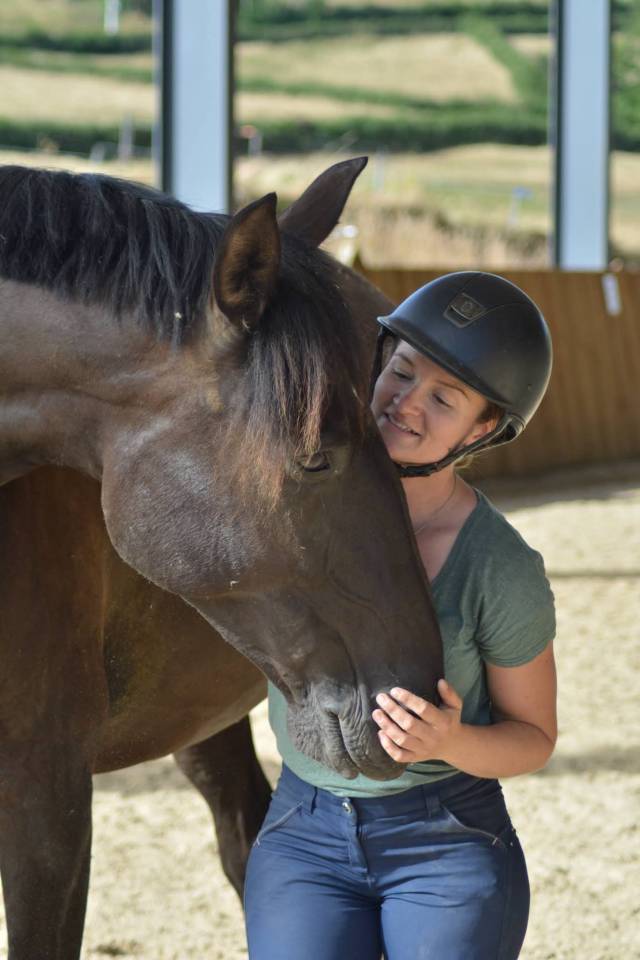 Caballo castrado PRE Pura Raza Espa&ntilde;ola En venta 2018 Bayo moreno