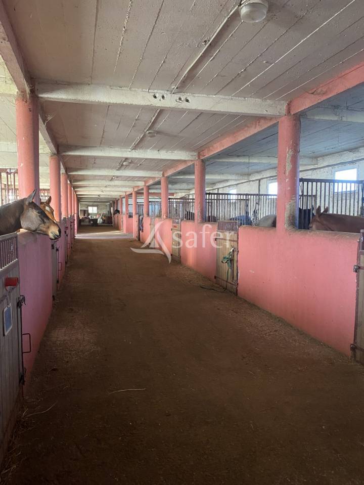Propiedad ecuestre En venta Calvados