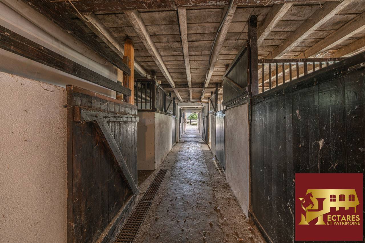 Albergue ecuestre En venta Saona y Loira