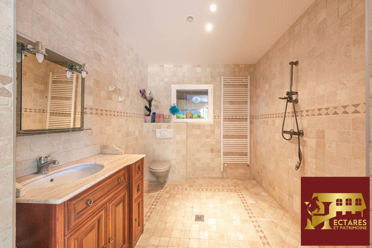 Albergue ecuestre En venta Saona y Loira