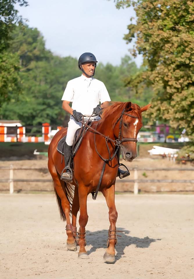 Caballo castrado Silla Franc&eacute;s En venta 2018 Alaz&aacute;n por KERBA D AUZAY