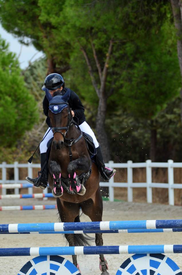Vendo poni C 7 a&ntilde;os por cambio categor&iacute;a 
