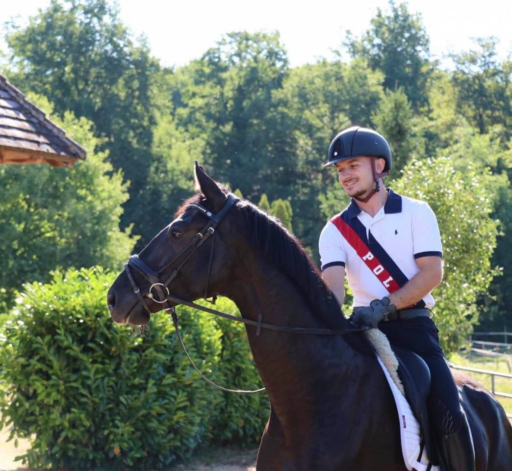 Caballo castrado Hannoveriano En venta 2022 Negro por GLAMOURDALE