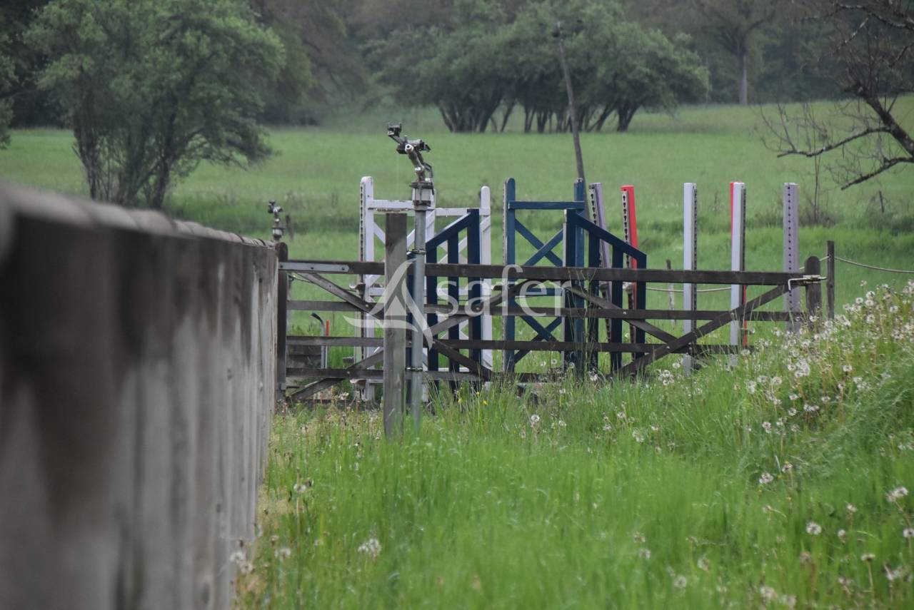 Propiedad rural En venta Lot