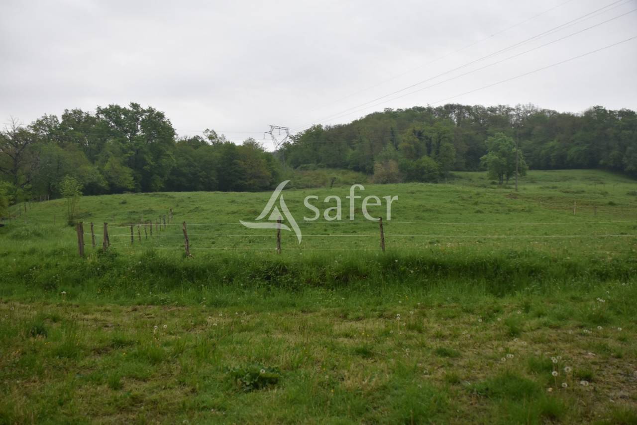 Propiedad rural En venta Lot