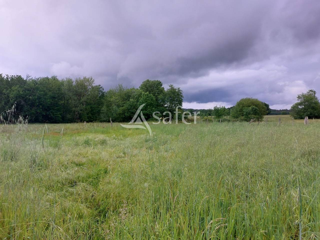 Explotaci&oacute;n agr&iacute;cola En venta Dordo&ntilde;a