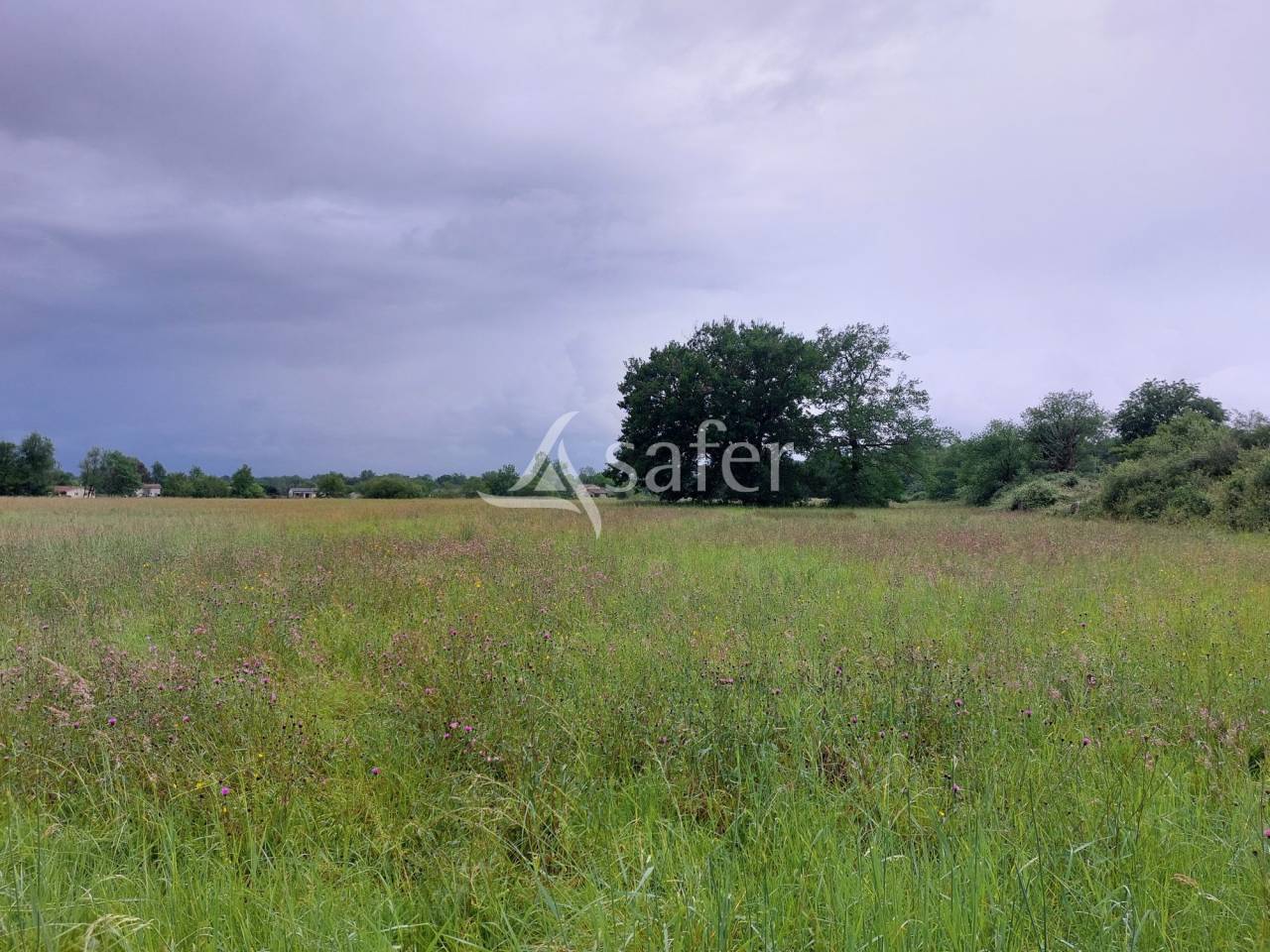 Explotaci&oacute;n agr&iacute;cola En venta Dordo&ntilde;a