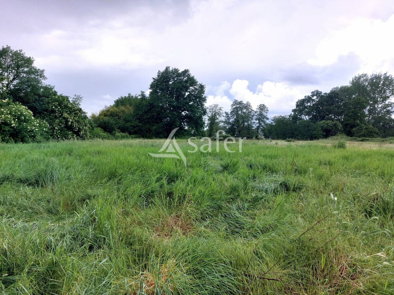 Explotaci&oacute;n agr&iacute;cola En venta Dordo&ntilde;a