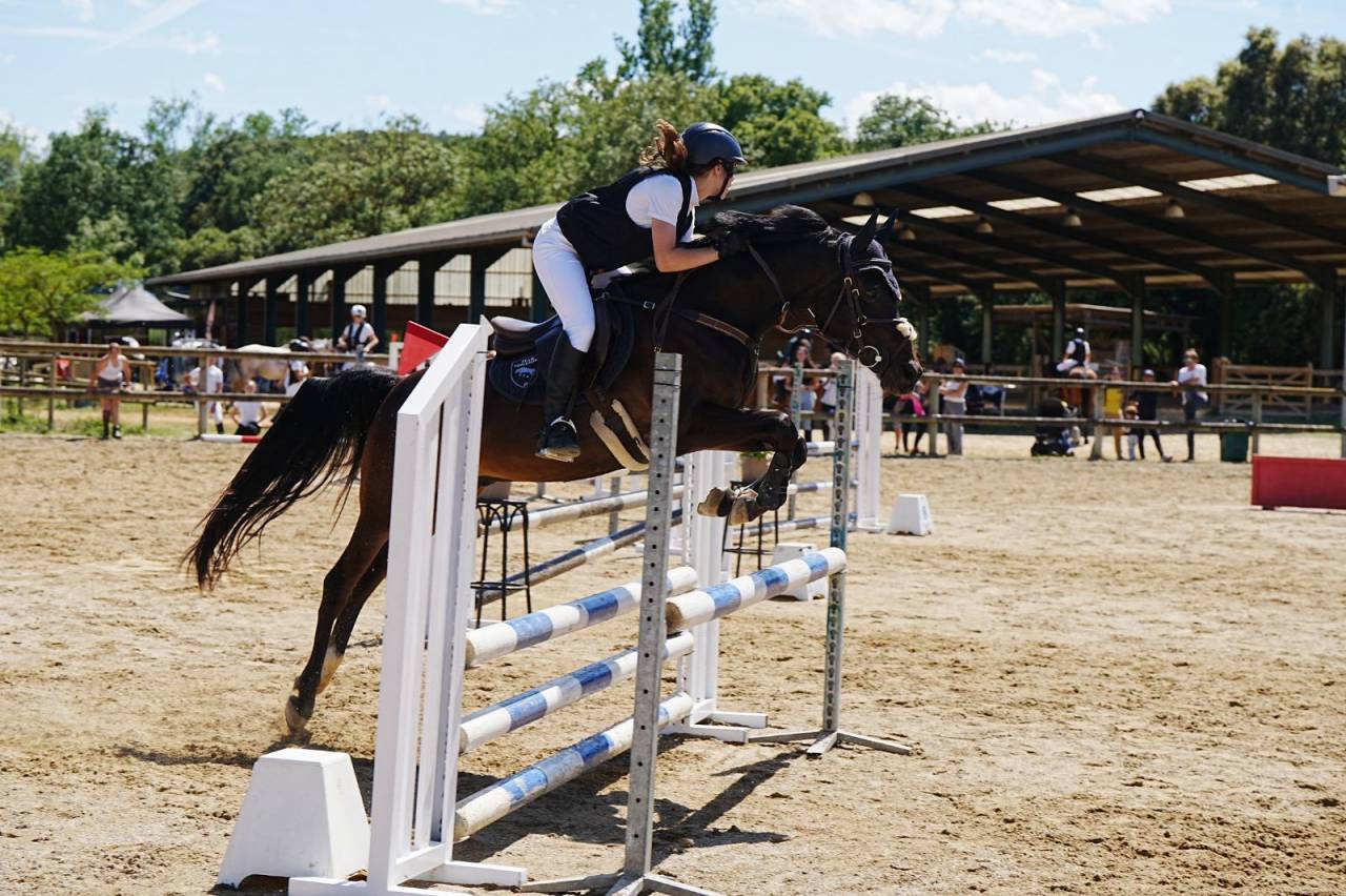 PONI SALTO PRA 