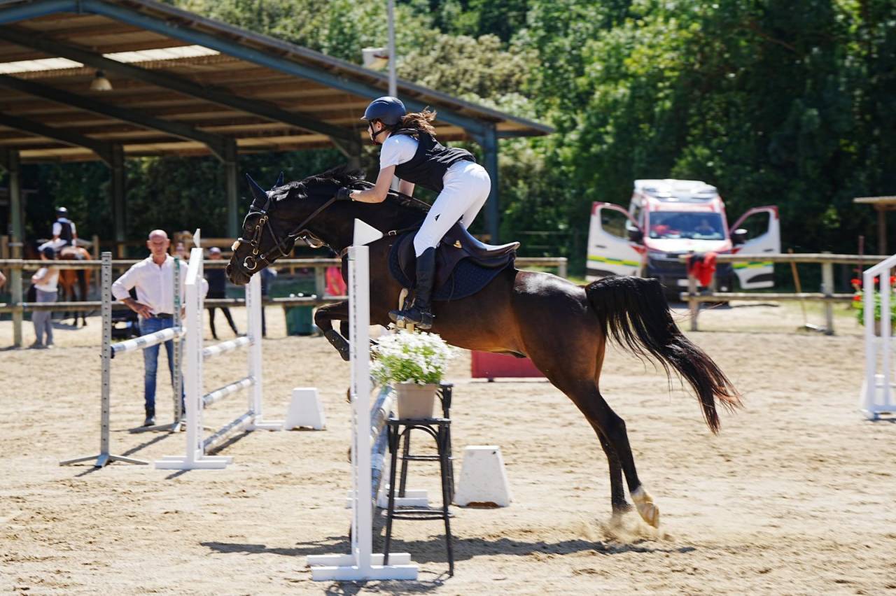 PONI SALTO PRA 