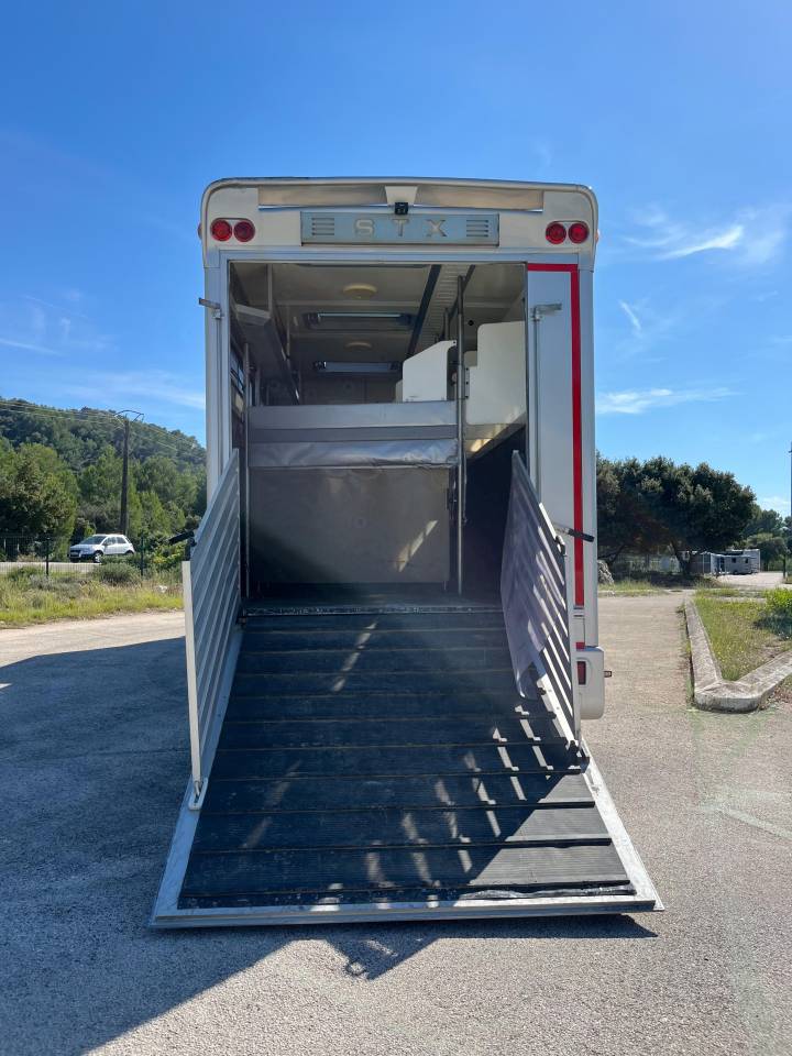 Cami&oacute;n para caballos Iveco STX 2008 De segunda mano